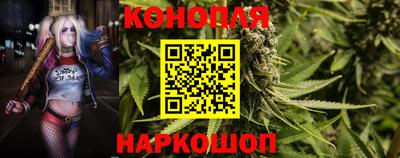 сатива Заволжье