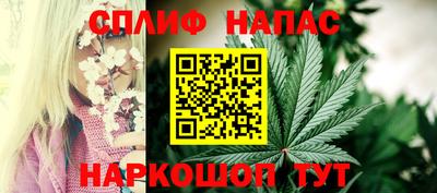 сатива Заволжье