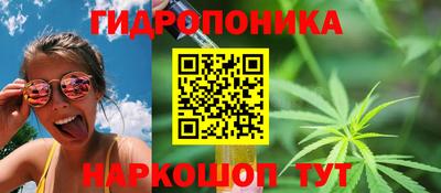 сатива Заволжье